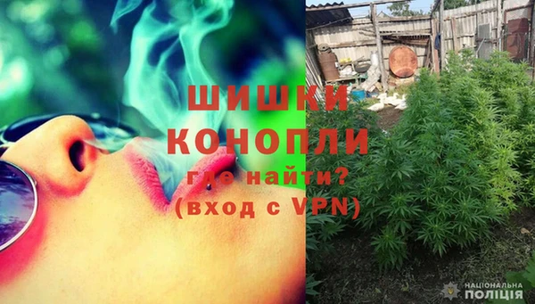PSILOCYBIN Гусев