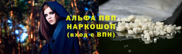 PSILOCYBIN Гусев