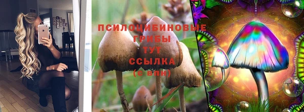 PSILOCYBIN Гусев