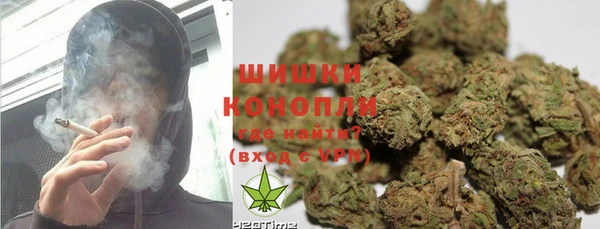 PSILOCYBIN Гусев