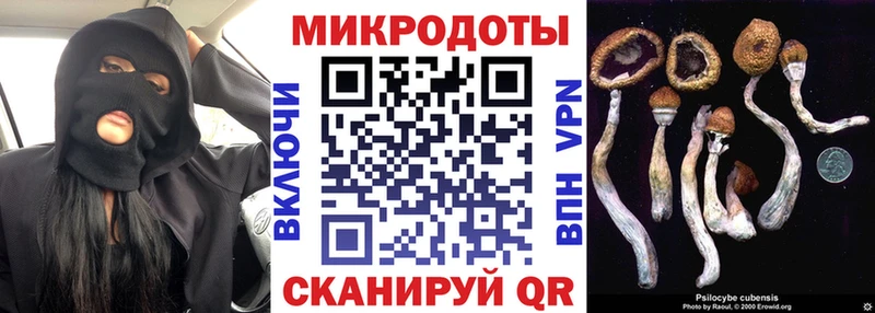Псилоцибиновые грибы Psilocybine cubensis  Купить где  Приволжск 